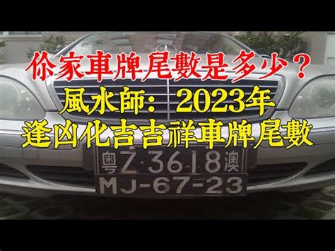 鱷魚風水 車牌 4